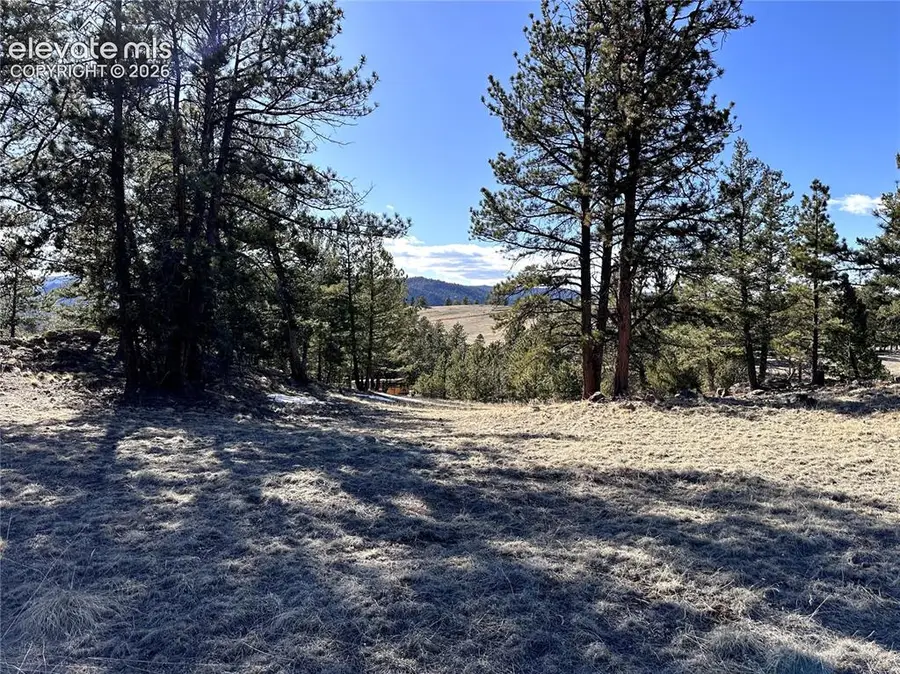 421 Crescent Drive, Florissant, CO 80816 - #3