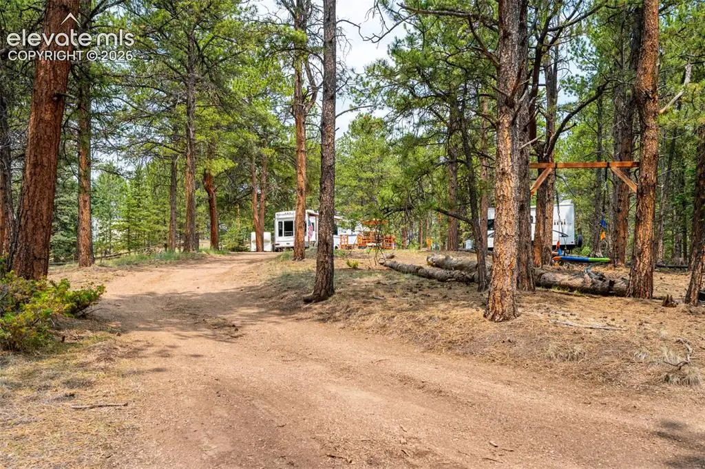 1459 Conestoga Creek Road, Florissant, CO 80816 - #1