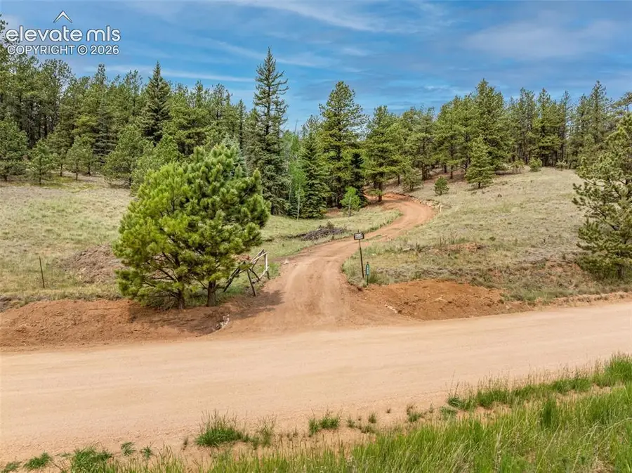 1459 Conestoga Creek Road, Florissant, CO 80816 - #2
