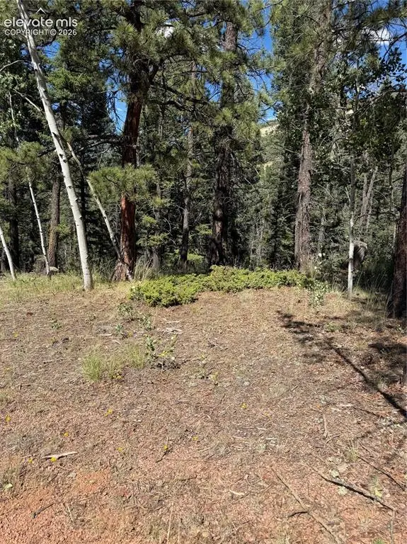 1007 Derby Drive, Cripple Creek, CO 80813 - #1