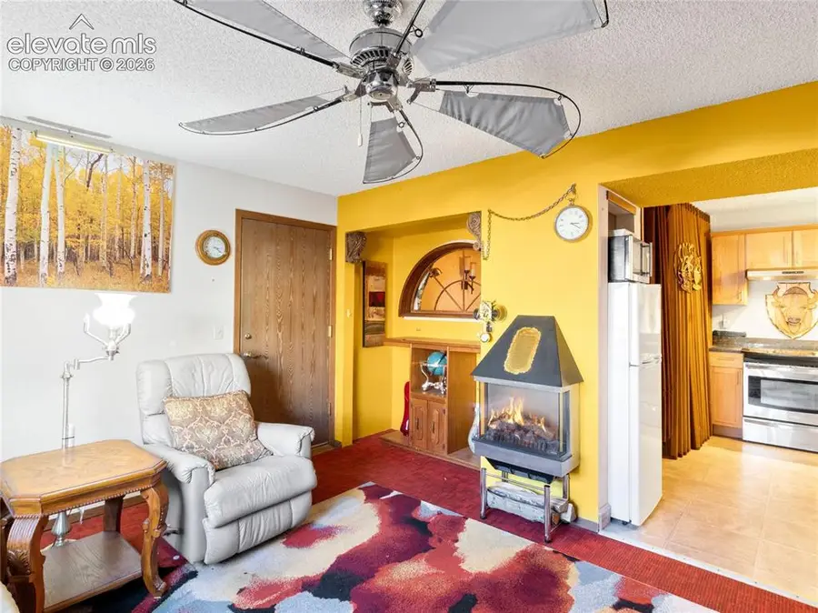 380 Paradise Circle #C1, Woodland Park, CO 80863 - #3