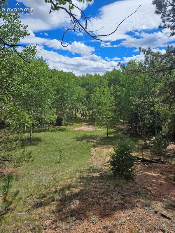 430 Pinon Lane, Florissant, CO 80816