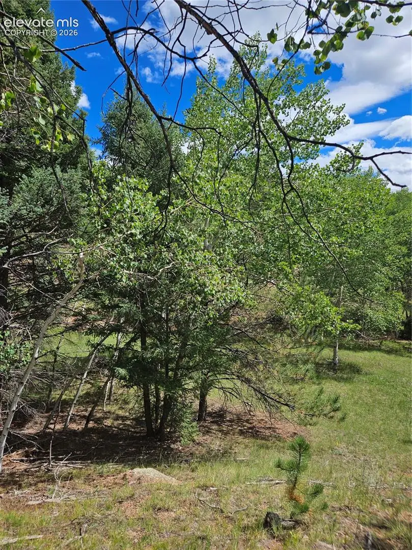 430 Pinon Lane, Florissant, CO 80816 - #2