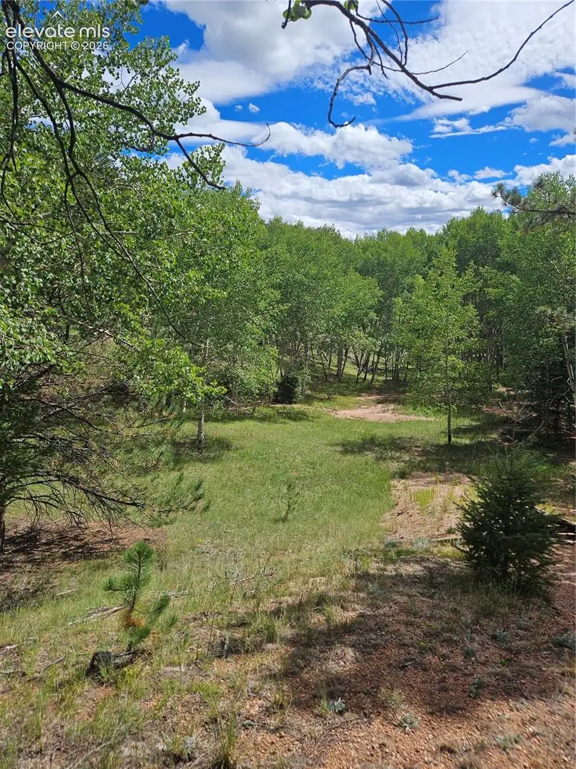 430 Pinon Lane, Florissant, CO 80816 - #3