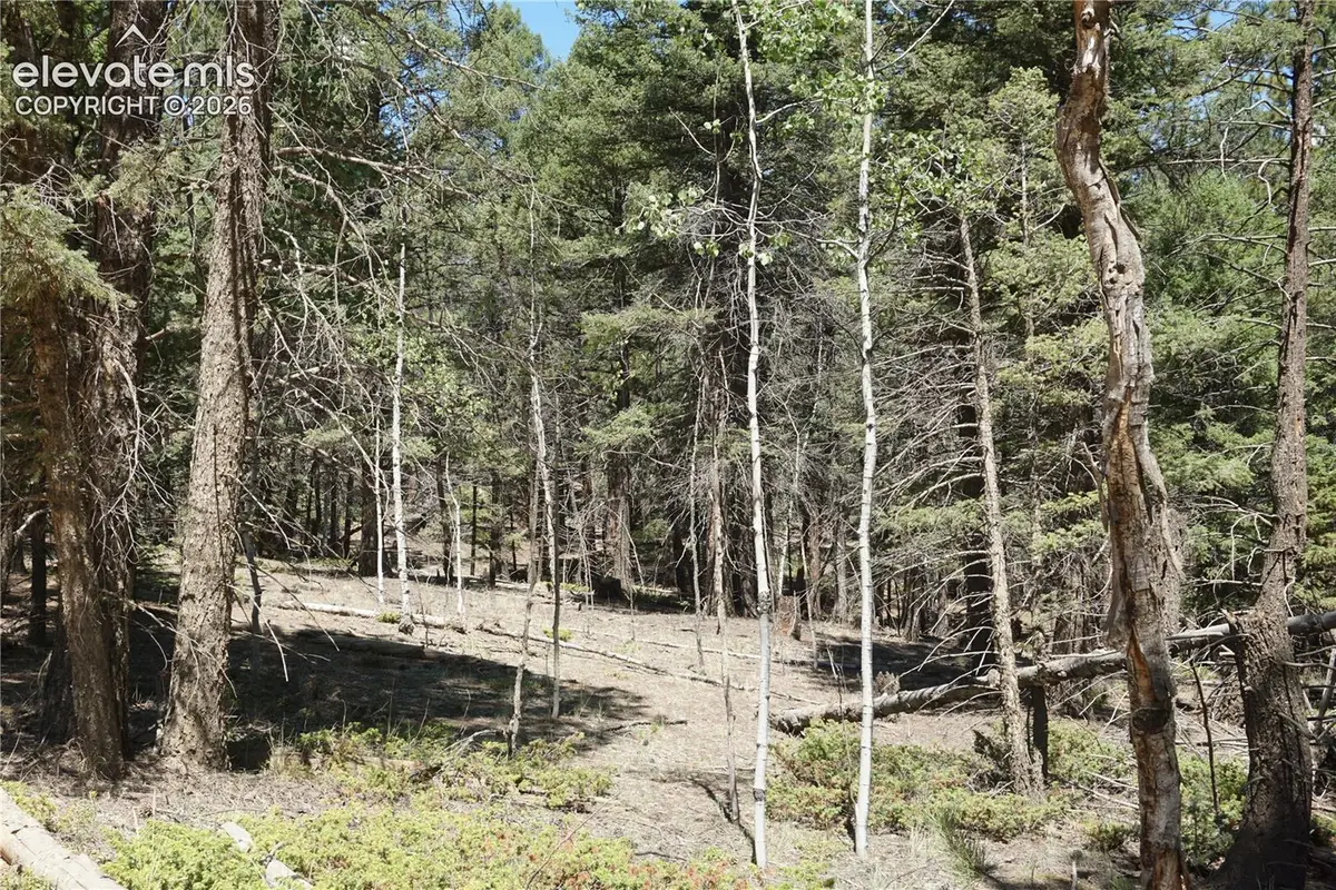 616 Indian Creek Road, Florissant, CO 80816 - #1