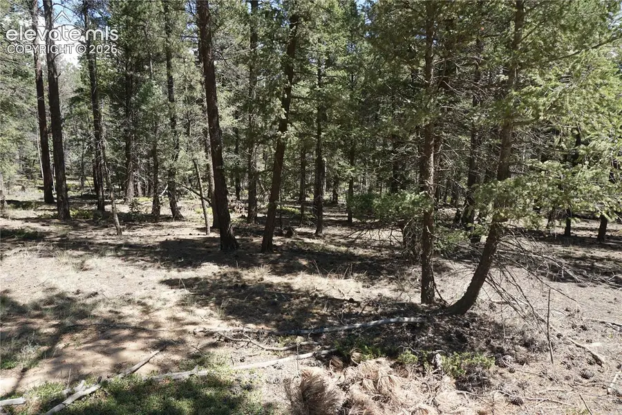616 Indian Creek Road, Florissant, CO 80816 - #3