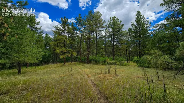 00 Westwood Road, Colorado Springs, CO 80919