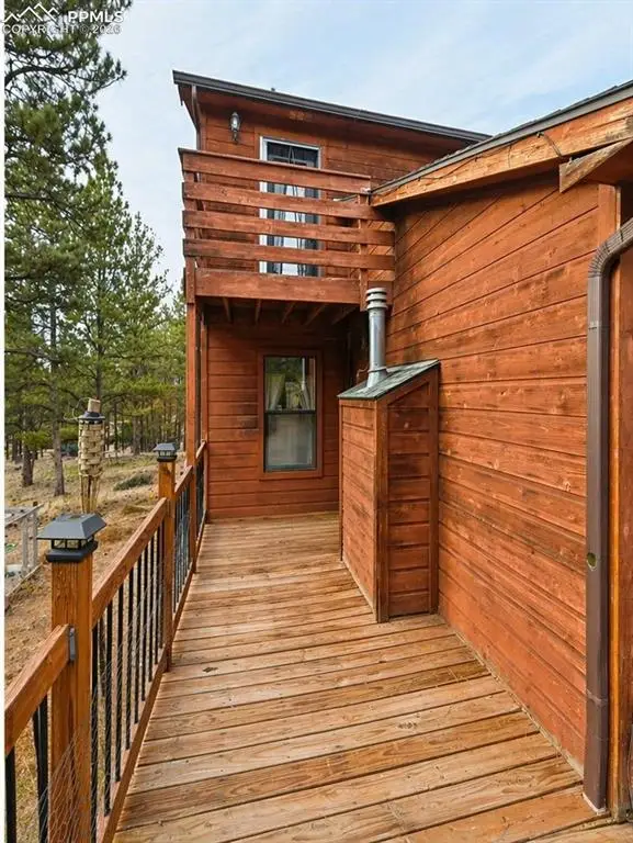 31 Wallace Drive, Florissant, CO 80816 - #3