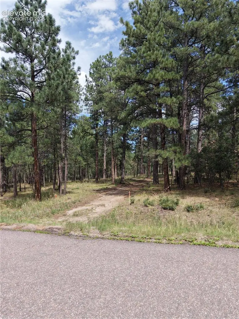 19953 Vista Clara Lane, Monument, CO 80132 - #2