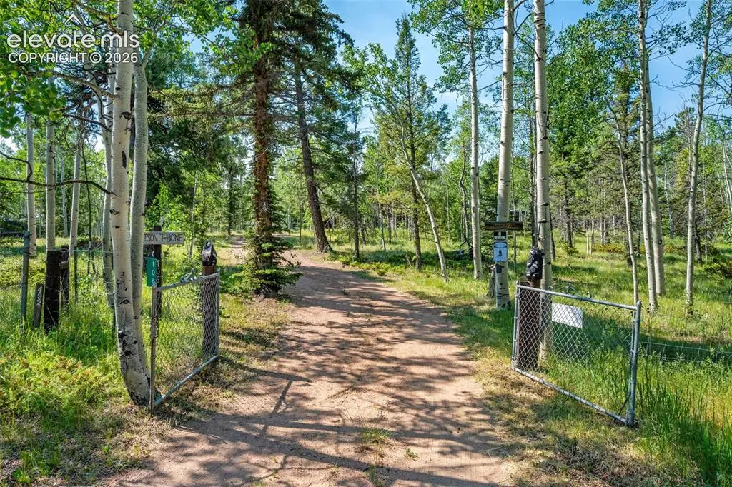 106 Forest Court, Guffey, CO 80820 - #1