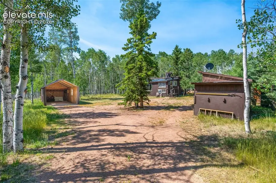 106 Forest Court, Guffey, CO 80820 - #2