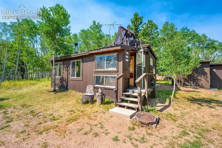 106 Forest Court, Guffey, CO 80820 - #3