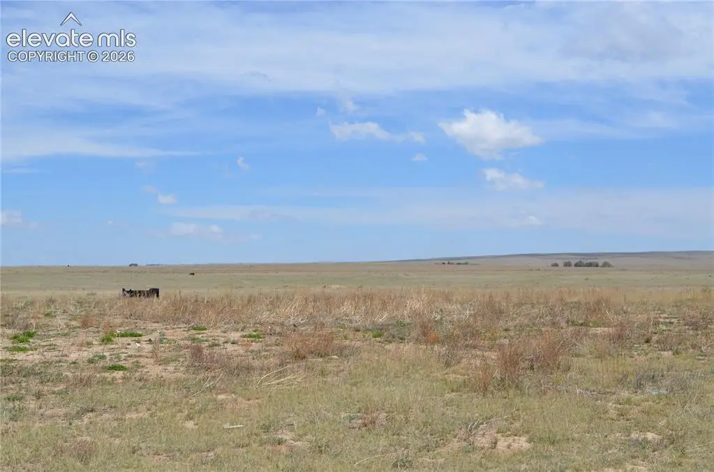 26430 Tebow View, Calhan, CO 80808 - #1
