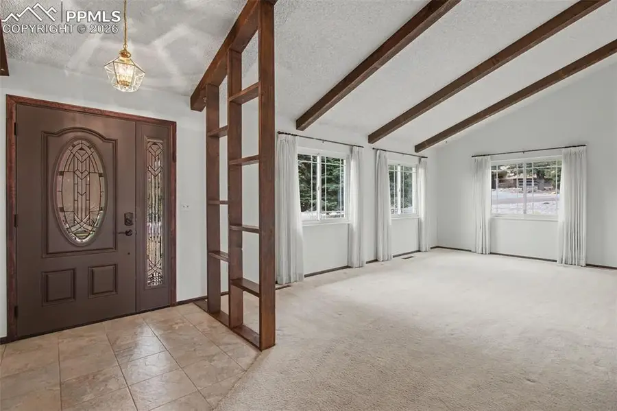 806 Point Of The Pines Drive, Colorado Springs, CO 80919 - #2