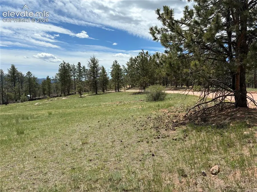 266 Chapparal Trail, Florissant, CO 80816 - #2