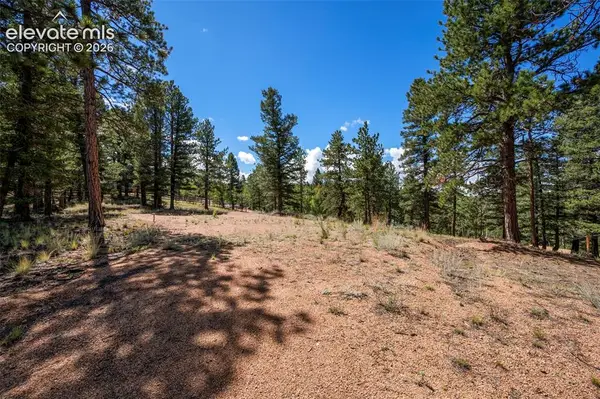 210 Donzi Trail, Florissant, CO 80816