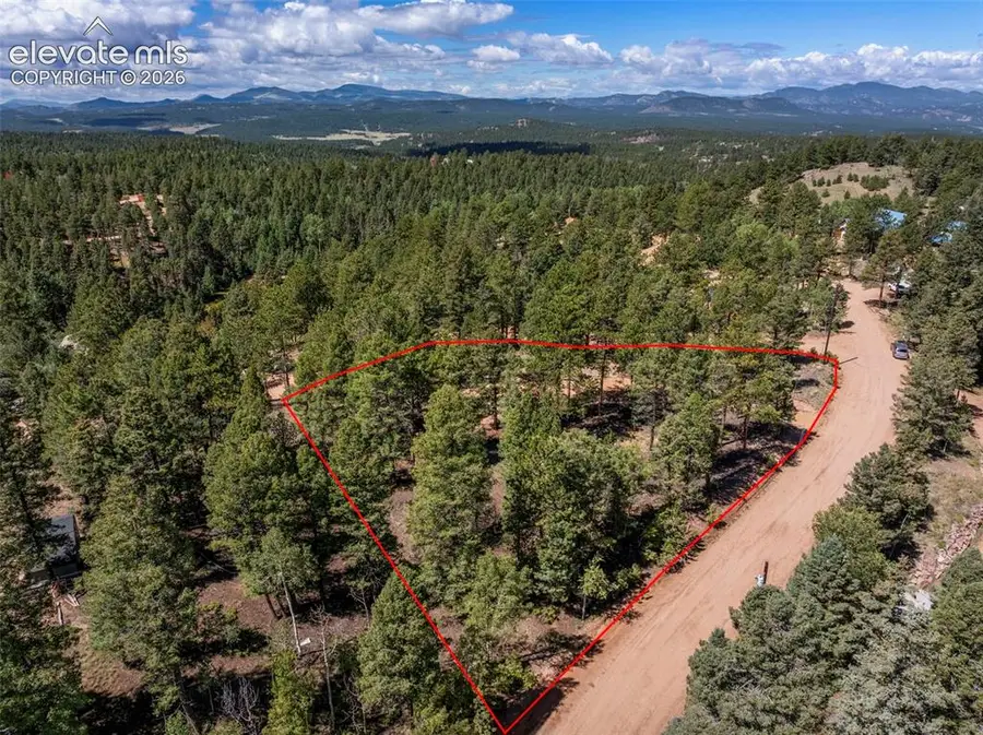 210 Donzi Trail, Florissant, CO 80816 - #2