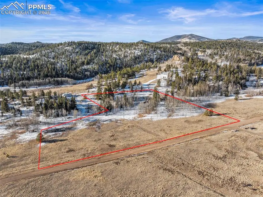 546 Alpine Meadows Lane, Florissant, CO 80816 - #3