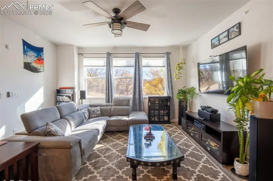 15619 Kitchener Way, Monument, CO 80132 - #3