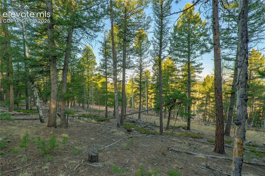 88 Malmsey Lane, Divide, CO 80814 - #1