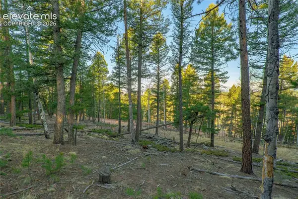 88 Malmsey Lane, Divide, CO 80814