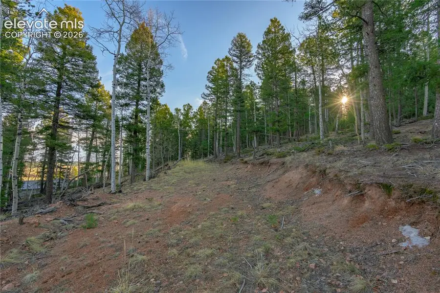 88 Malmsey Lane, Divide, CO 80814 - #2