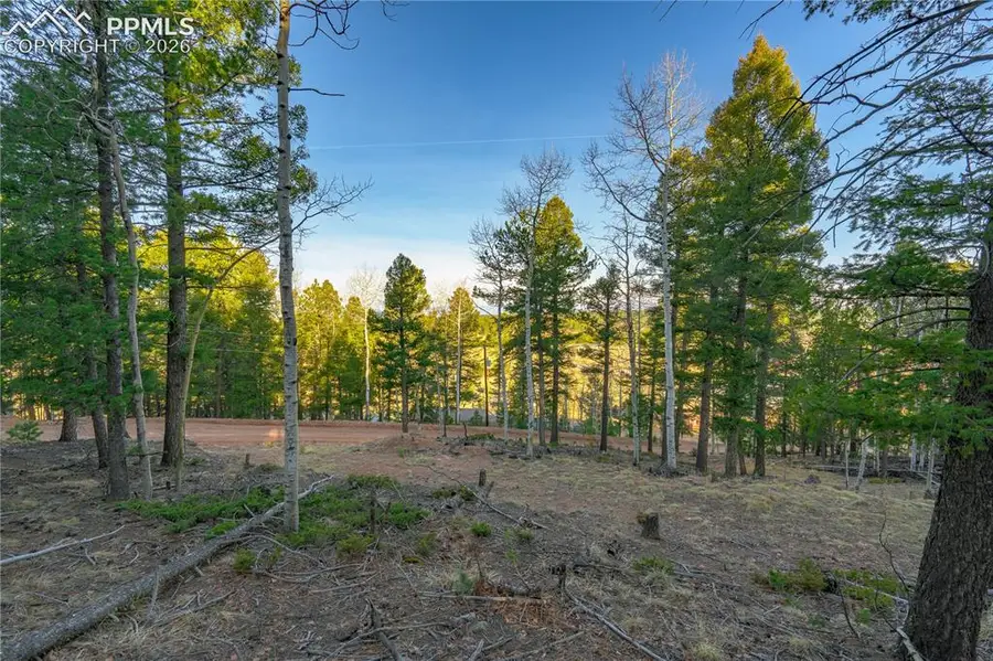 88 Malmsey Lane, Divide, CO 80814 - #3