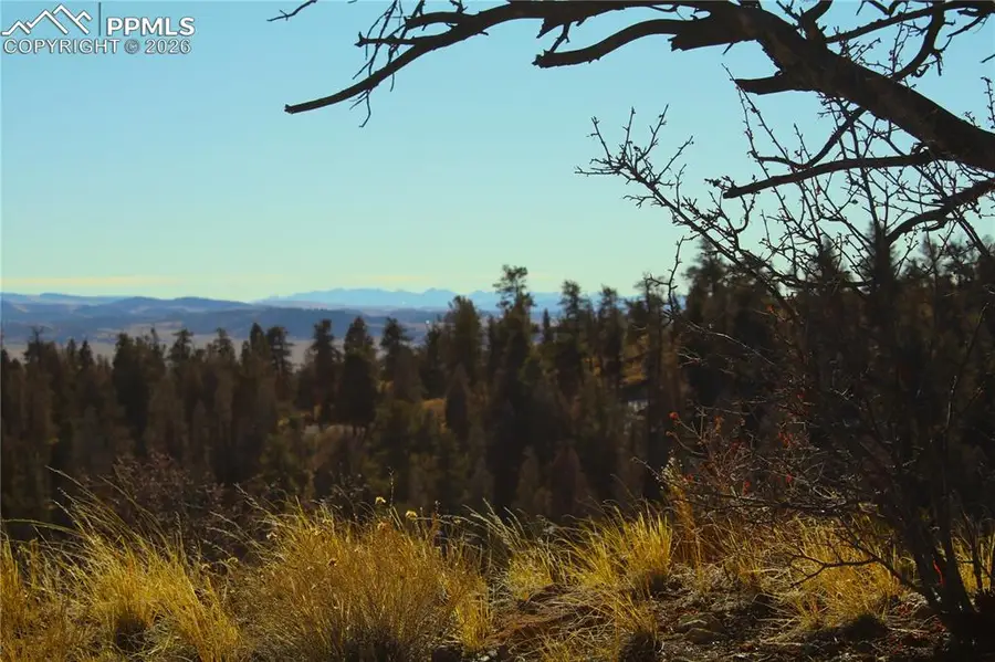 3632 Clear Creek Road, Hartsel, CO 80449 - #3