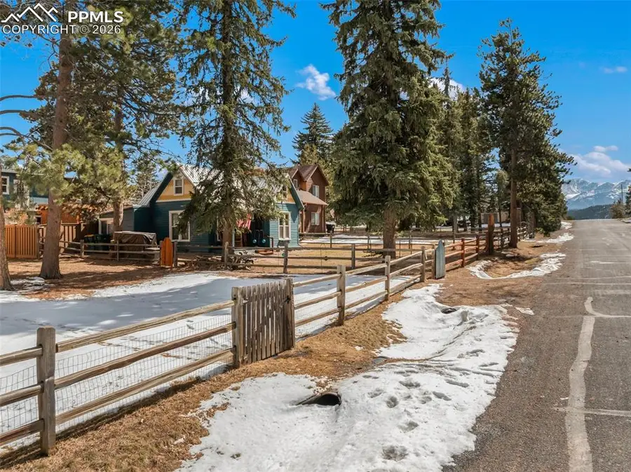 509 N Center Street, Woodland Park, CO 80863 - #3