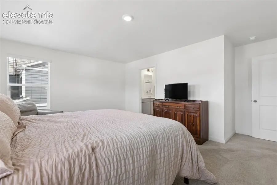 16149 Alpine Sorrel Drive, Monument, CO 80132 - #3