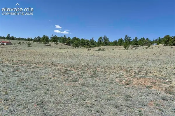 1999 Arapaho Trail, Hartsel, CO 80449
