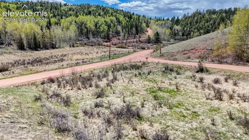 2031 Gold King Drive, Cripple Creek, CO 80813 - #1