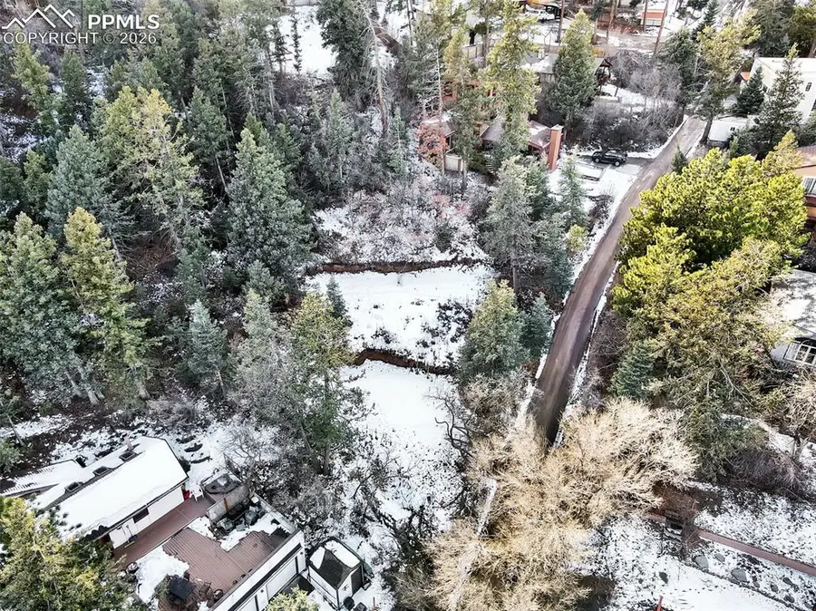 Pine Lane, Colorado Springs, CO 80906 - #2