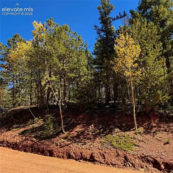 624 Witherite Drive, Divide, CO 80814