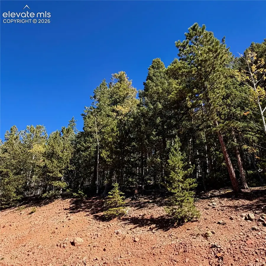 624 Witherite Drive, Divide, CO 80814 - #2