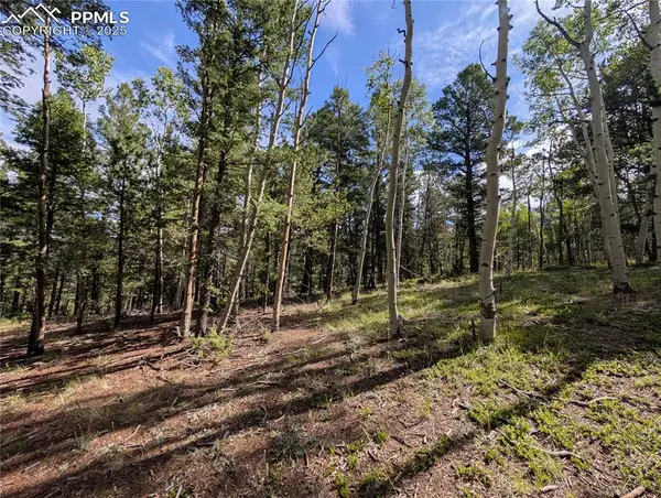60 Fluorite Lane, Divide, CO 80814