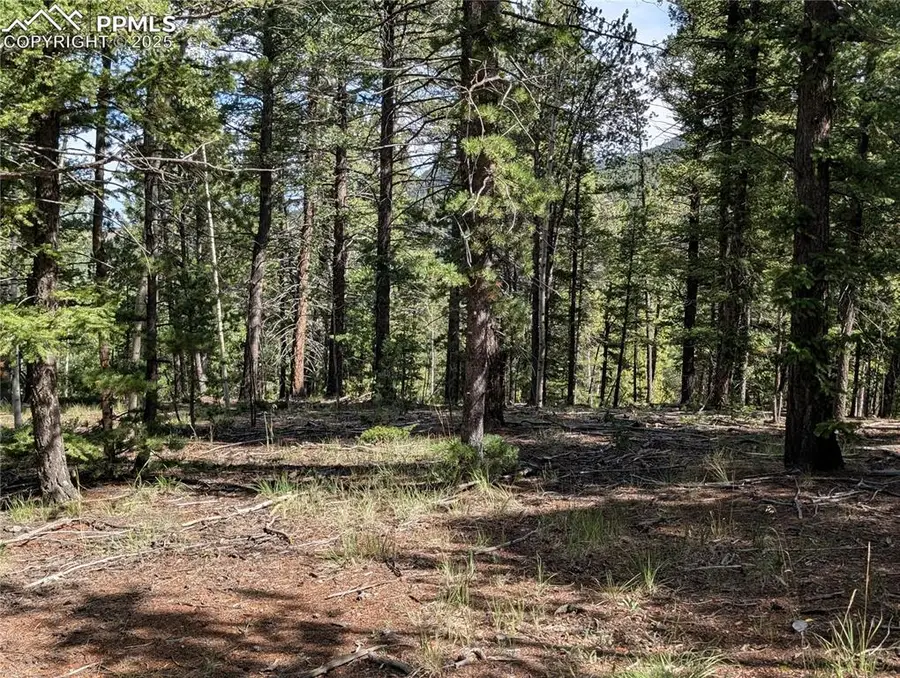 60 Fluorite Lane, Divide, CO 80814 - Image #2