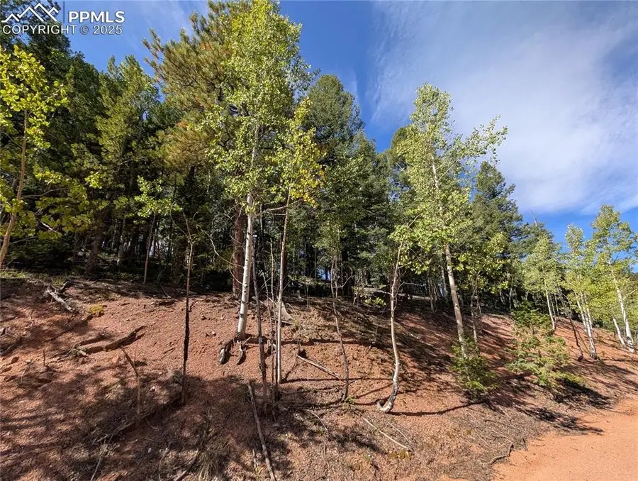 60 Fluorite Lane, Divide, CO 80814 - Image #3