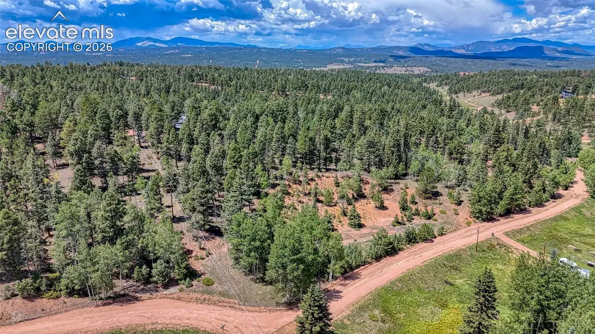 244 Spring Valley Lane, Florissant, CO 80816 - #1