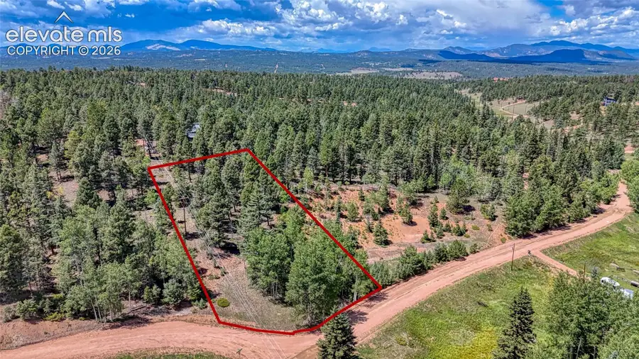 244 Spring Valley Lane, Florissant, CO 80816 - #2