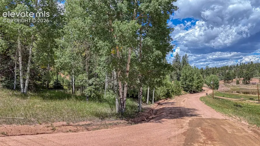 244 Spring Valley Lane, Florissant, CO 80816 - #3