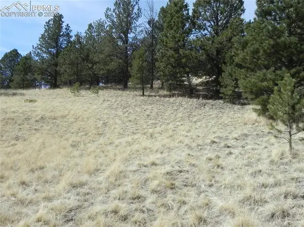 1058 Monarch Drive, Cripple Creek, CO 80813