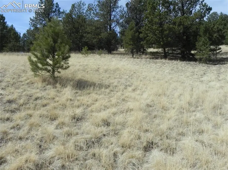 1058 Monarch Drive, Cripple Creek, CO 80813 - #2