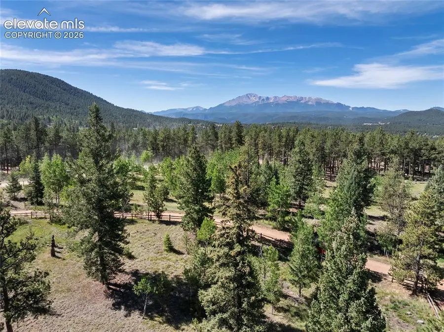 303 Ute Trail, Woodland Park, CO 80863 - #3