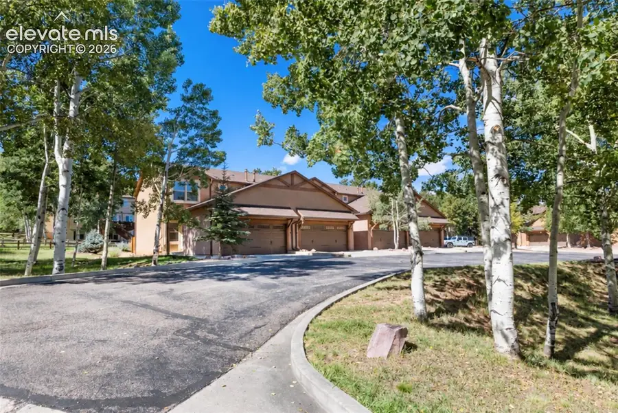 718 Misty Pines Circle, Woodland Park, CO 80863 - #2