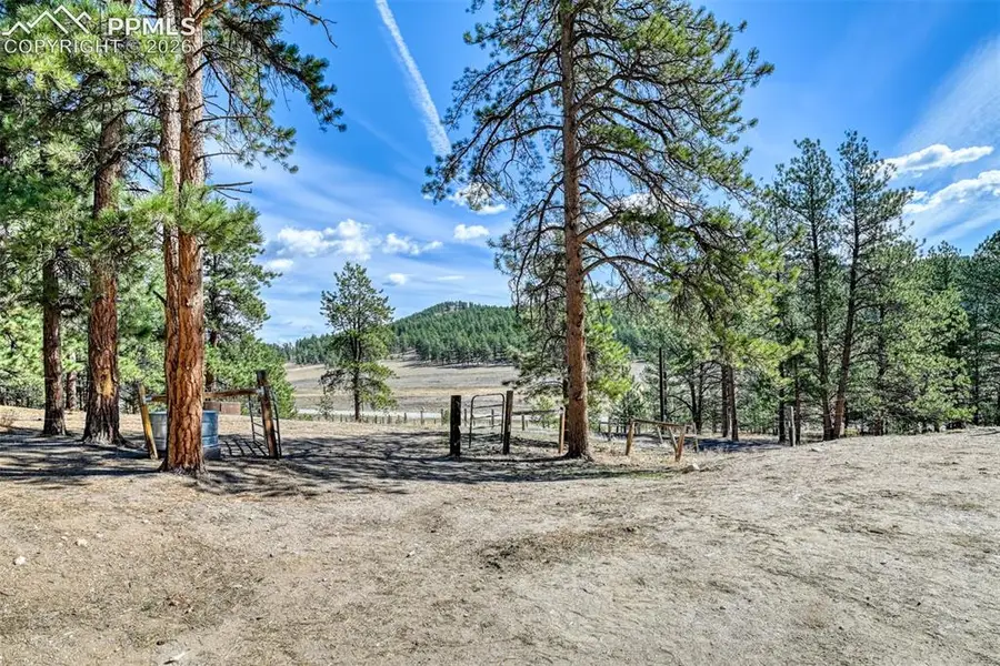 37081 County Road 77, Lake George, CO 80827 - #2