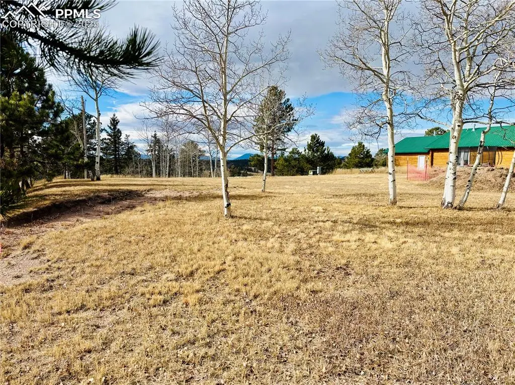 799 Elfin Glen Drive, Divide, CO 80814 - Image #1