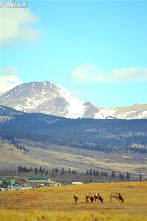 20400 Highway 285, Fairplay, CO 80440 - #2
