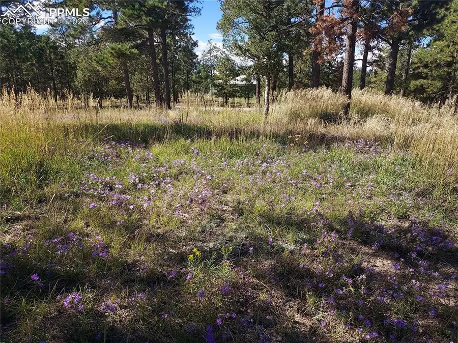 13395 Frank Road, Colorado Springs, CO 80908 - #2