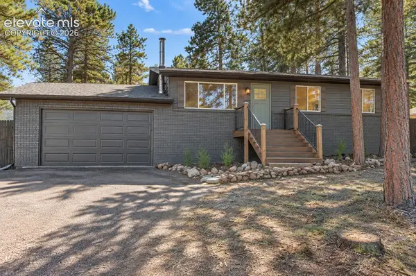 1005 W Lorraine Avenue, Woodland Park, CO 80863